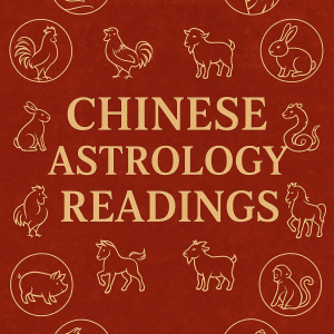 Virtual Session BaZi Chinese Astrology Reading (1 Hour)