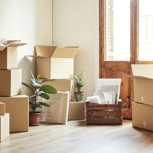 Relocation And Finding An Ideal Home